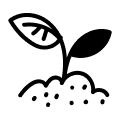 terra e piante